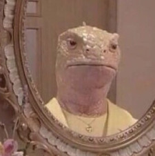 Angelica Mitrovic Chikri