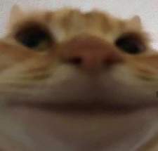 Kairu Pipi