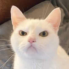Anh