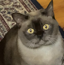 Kim