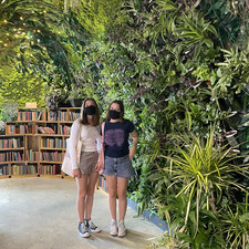 Dominique Macpherson