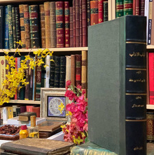 مـالك بن محمـد