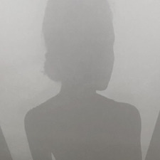 AnnaSim