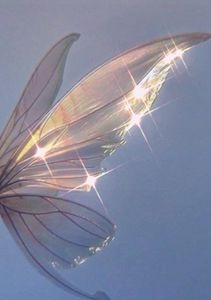 Aries Aster