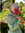 member photo member photo