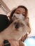 Ally