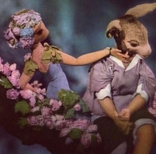  Горопадница  КНИЖНЫЙ ЧЕРВЬ