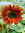 member photo member photo
