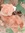Amna
