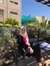 Maram A...