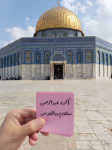 الاء عبدالرحمن