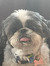 Jake