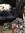 Sharon | 1 comments