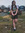 sophia (soapywings) | 1 comments