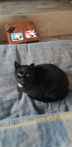 Emma Meehan (moving to Storygraph)