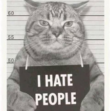 nramalna (cik meow)