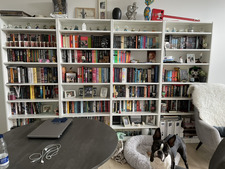 Anika Elsý Ívarsdóttir 