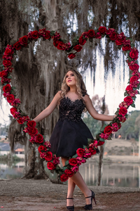 Evellen Ramos Arantes