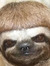 Josh Mc...