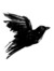 Blackbird