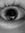 Elze