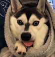 Joao