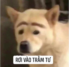 Thư đang đọc sách