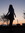 Joena (justjoena) | 3 comments