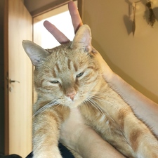 Terinka