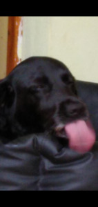 Charlie