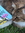 karten | 21 comments