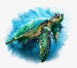 Turtle