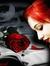 Alisce ...