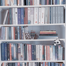 Anood Reads