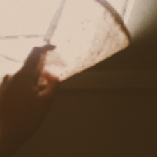 myosoticsinthebackyard