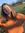 xxgiuliaah | 1 comments
