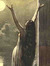 Eve