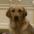 Amy
