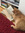 maggie ⋆。˚☽˚ (maggieteh) | 11 comments