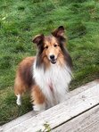 Suzanne