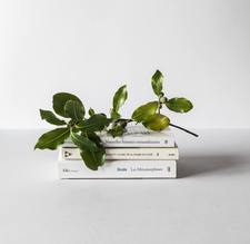 Sofia (the.ya.bookworm)