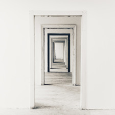 ساره العرفج