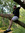 Noah Mailloux (mayyzy) | 1 comments