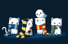 Matty (Enfermeralectora)