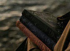 يارا الأمين