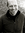 Brian Kindall | 3 comments
