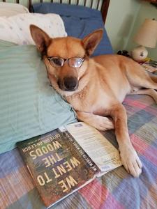 Oliver Recommends