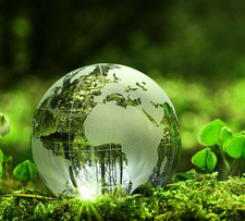 Deepika Nanjundeshwar