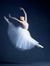 A Reading Ballerina