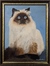 Catinabox